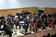 The Orchestra 