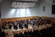 The Orchestra 